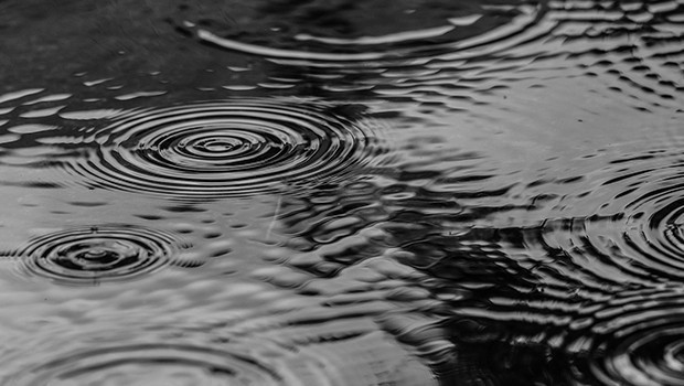 NİSAN YAĞMURU NE ZAMAN TOPLANIR?