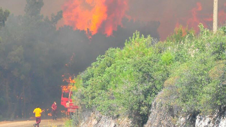 Beykoz’da Ormanlık Alanda Yangın Çıkış