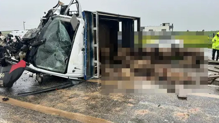 Koyun yüklü kamyonet ile otomobil çarpıştı: 2 ölü, 3 yaralı