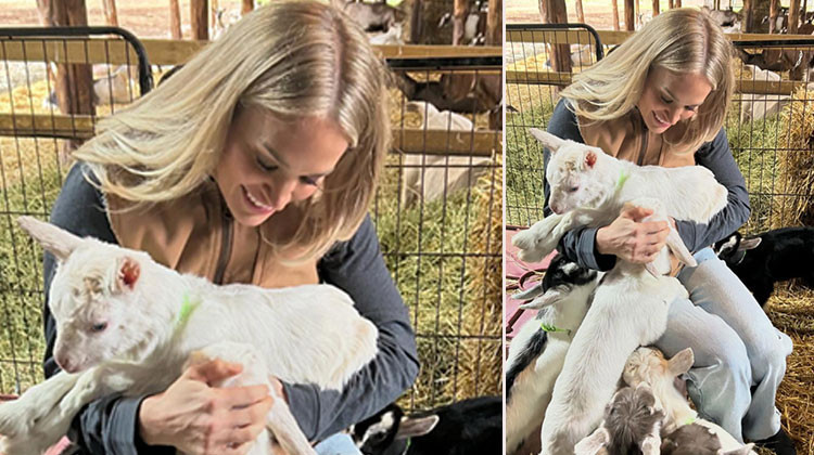 Ojeli tırnaklarla ahırda çalışma kolay mı sandınız!